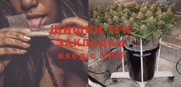 амф Нея