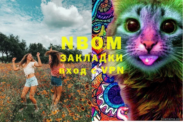амф Нефтекумск