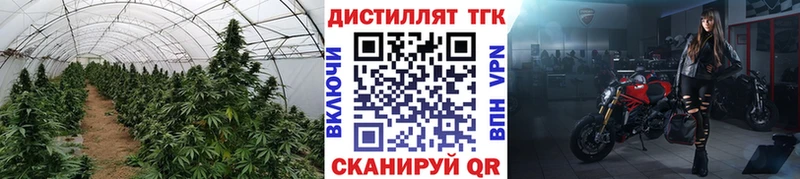 где купить   Власиха  мега как зайти  ТГК концентрат 
