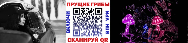Галлюциногенные грибы мицелий  Власиха 